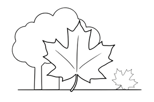 Vienas didelis klevo lapas smailiais galais – medžių lapų spalvinimo paveiksliukas