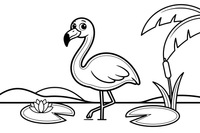 Flamingas išlenkia ilgą kaklą S raidės forma – flamingų tvenkinio spalvinimo paveiksliukas