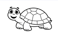 turtle