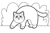 Ragdoll katė išriečia nugarą – žaidžiančios Ragdoll katės spalvinimo paveiksliukas