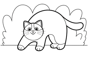 Ragdoll katė išriečia nugarą – žaidžiančios Ragdoll katės spalvinimo paveiksliukas