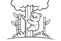 Panda lipa į medį – žaismingos pandos spalvinimo paveiksliukas
