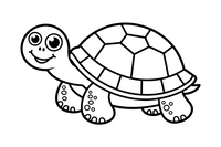 turtle