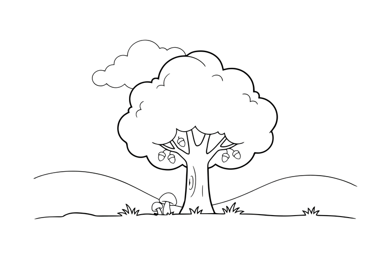 Didelis tvirtas ąžuolas su plačia laja – Lietuvos gamtos augalų spalvinimo paveiksliukas