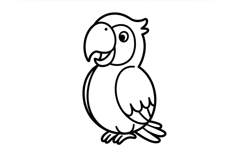 Parrot