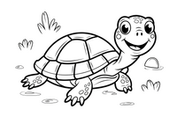 turtle