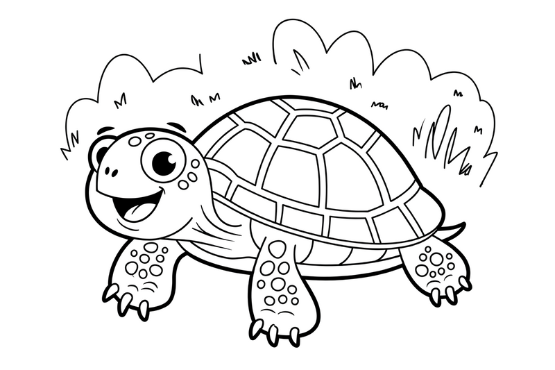 turtle