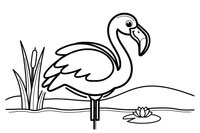 Flamingas ilsisi pasikišęs galvą – flamingų tvenkinio spalvinimo paveiksliukas
