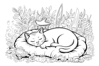 sleeping cat