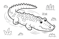 crocodile