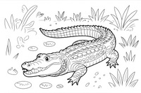crocodile