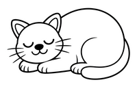 sleeping cat