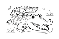 crocodile