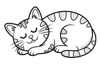 sleeping cat
