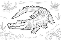 crocodile