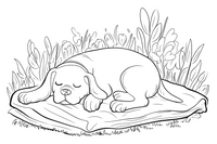 sleeping dog