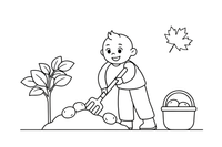 Žmogus šakėmis kasa bulves – rudens derliaus spalvinimo paveiksliukas