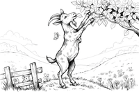 A goat standing on its back legs to reach leaves – Goat coloring page