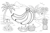 Didelė bananų kekė kabo ant bananmedžio – atogrąžų vaisių spalvinimo paveiksliukas