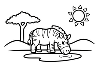Zebras geria iš girdyklos – šuoliuojančio zebro spalvinimo paveiksliukas