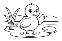 Pūkuotas flamingo jauniklis – flamingų tvenkinio spalvinimo paveiksliukas
