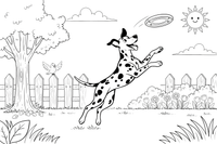A Dalmatian jumping to catch a frisbee – Dalmatian coloring page