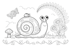 A close-up of a snail with a round shell – Snail coloring page