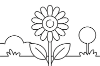 Gerbera su dideliu apvaliu viduriu ir daugybe žiedlapių – populiarių gėlių spalvinimo paveiksliukas