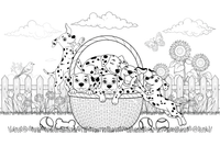 A basket full of Dalmatian puppies – Dalmatian coloring page