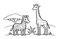 Zebras šalia žirafos – šuoliuojančio zebro spalvinimo paveiksliukas