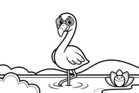 Flamingas su akiniais nuo saulės – flamingų tvenkinio spalvinimo paveiksliukas