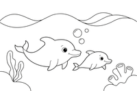 Mama delfinė su delfinuku – spalvingų jūros gyvūnų spalvinimo paveiksliukas