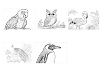 Birds demo collage