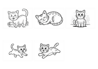 Cats demo collage