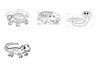 Reptiles demo collage