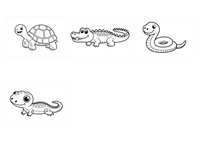 Reptiles demo collage
