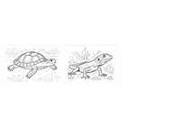 Reptiles demo collage